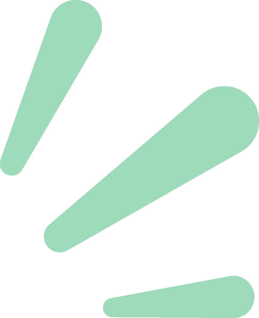 1790235626513002 1790235626513002